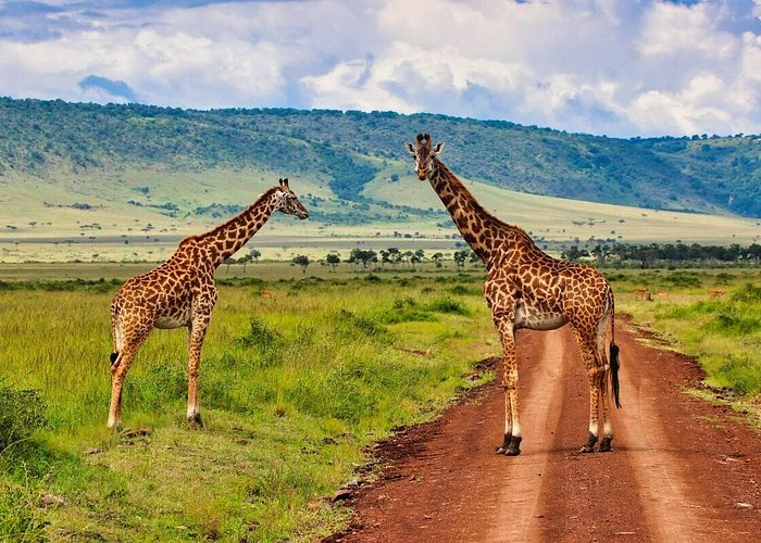 Lake Naivasha